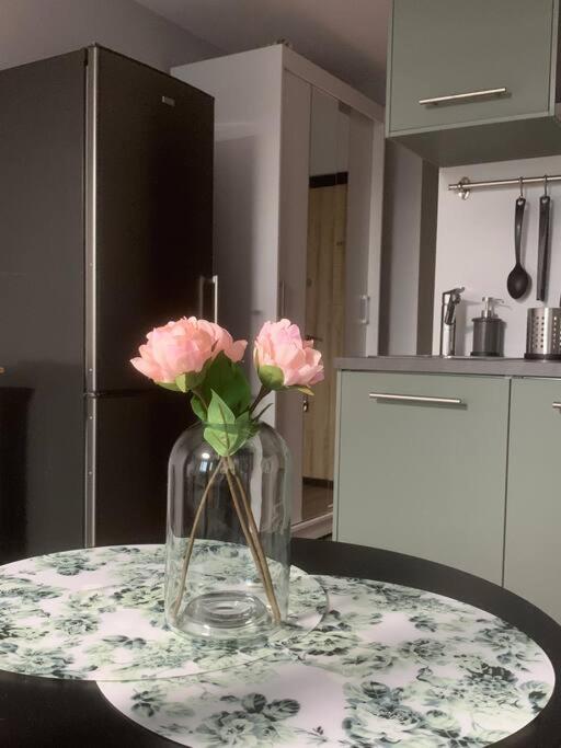 Apartment Near Ozas VNO Esterno foto